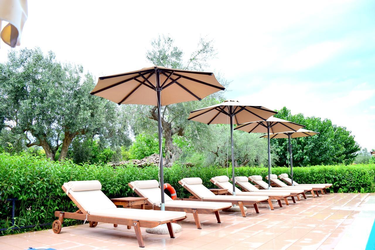 Camping & Bungalows Castle View Mystras Bagian luar foto